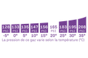 PSI165-Jauge_2.png