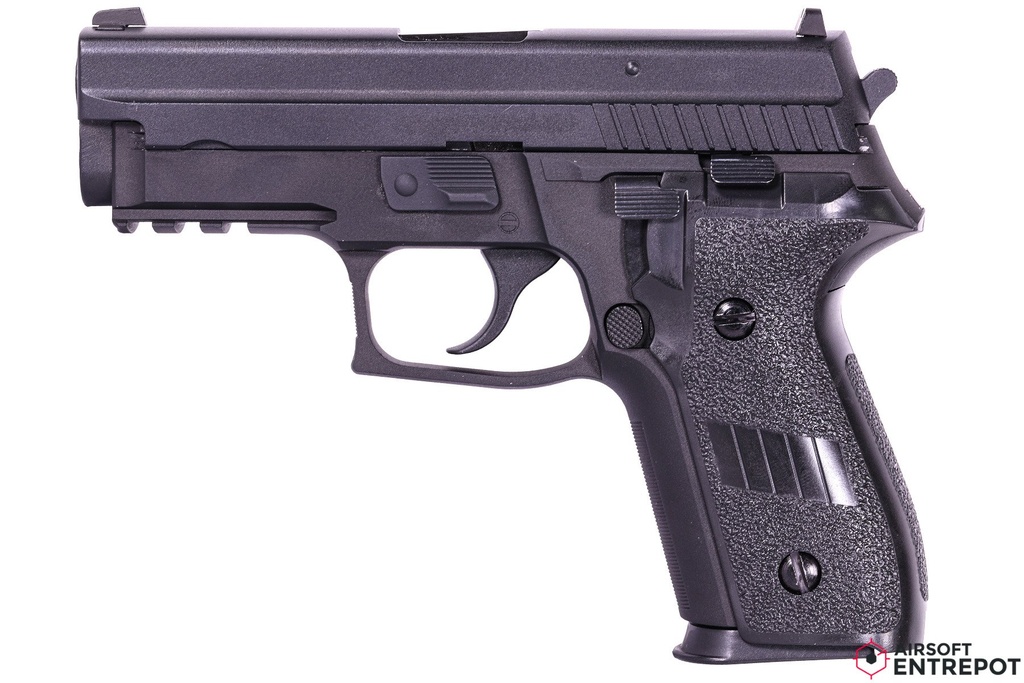 WE P229 Rail GBB (F229 / Noir)